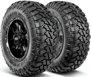 LT295/55R20 Nexen Roadian Mtx 123Q